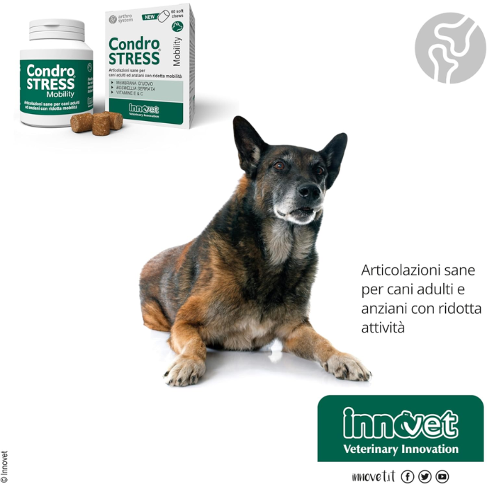Condrostress Mobility, per Articolazioni del Cane, Supporta la Mobilità di Cani Adulti e Anziani, 30 Soft Chews Facilmente Masticabili