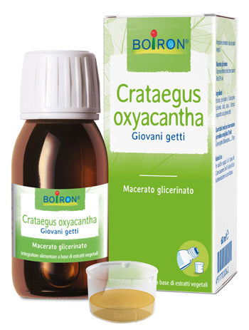 Crataegus Oxy Boi Mg 60ml Int