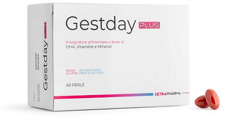 GESTDAY PLUS 60PRL