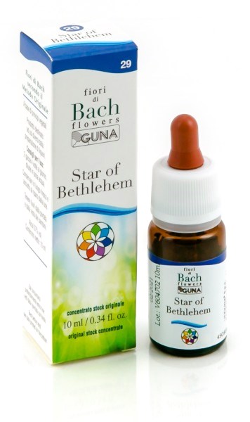 Star Of Beth Gun Gtt 10ml