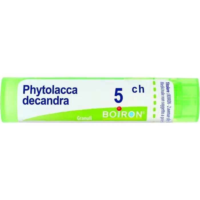 Phytolacca De Boi*5ch 80gr