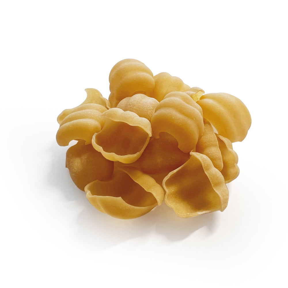 keylife conchiglioni