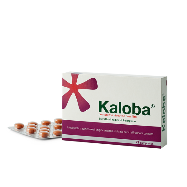 Kaloba 21 Compresse