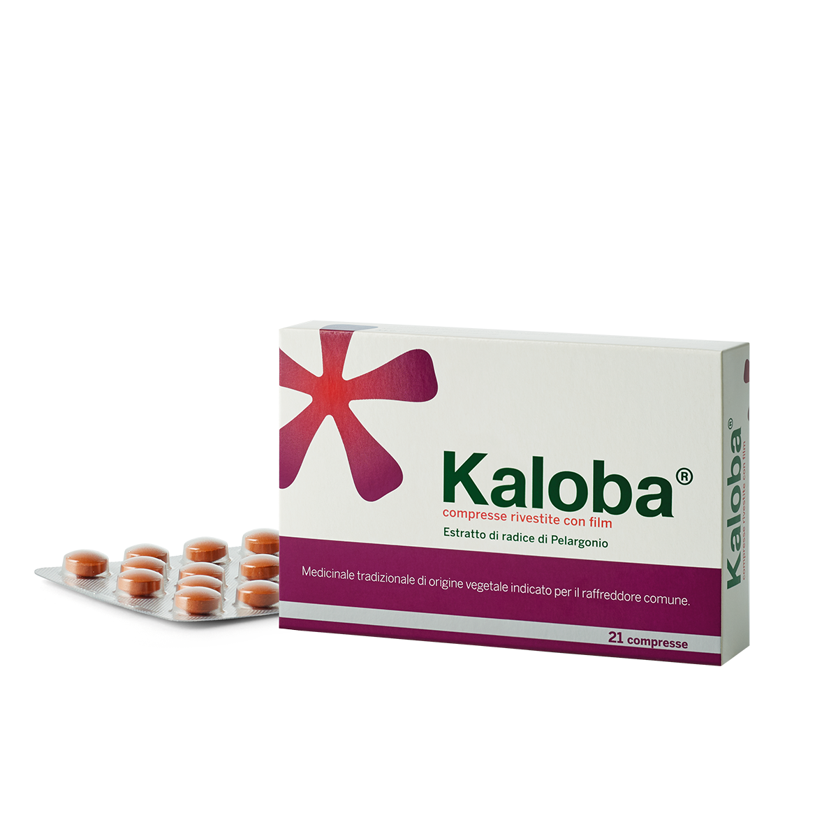 Kaloba 21 Compresse