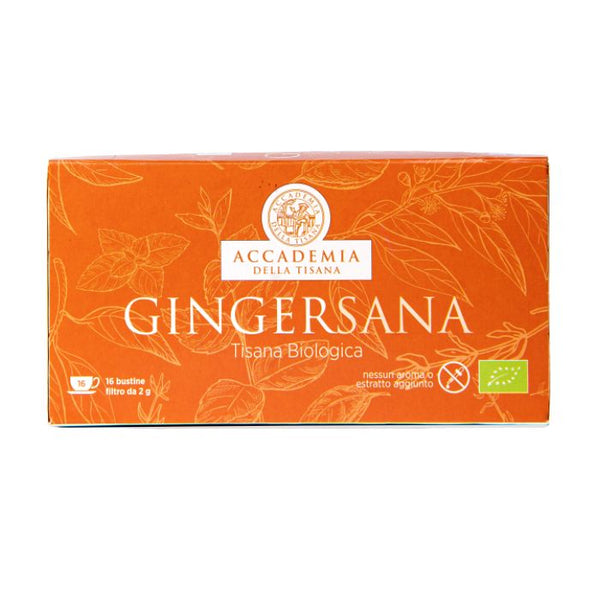 Gingersana Tisana Biologica, 16 filtri da 32g, Accademia della Tisana