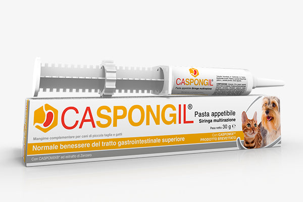 Caspongil Pasta 30g