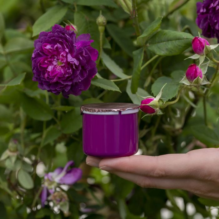 Dolomia Rose Therapy Crema Refill 50ml