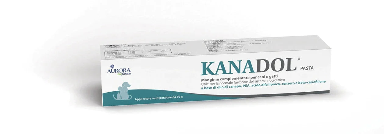 Kanadol Pasta 30g