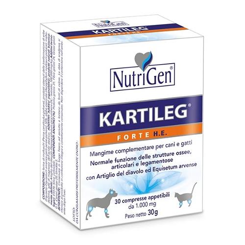 Kartileg Forte He 60tav