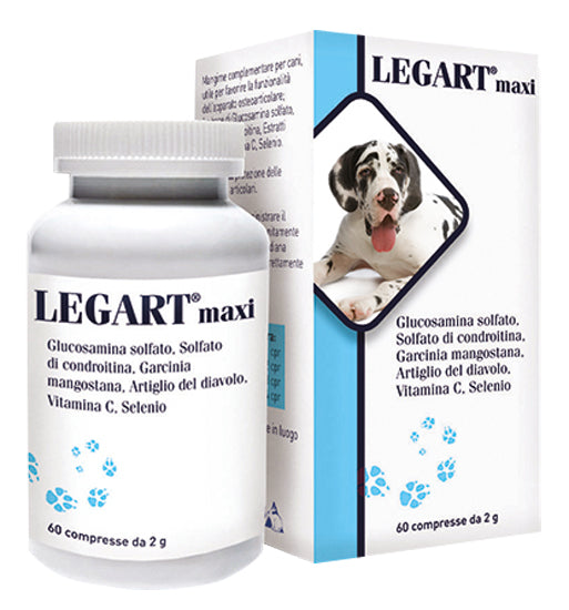 legart maxi 60 compresse