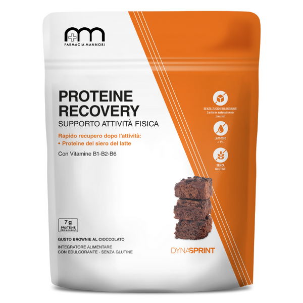 Proteine Recovery Brownie Cioccolato Dynasprint Farmacisti Preparatori 475g