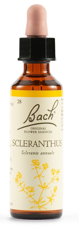 Sclerantus Bach Orig 20ml - Sclerantus Bach Orig 20ml