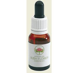 Spinifex Australian 15ml Gtt