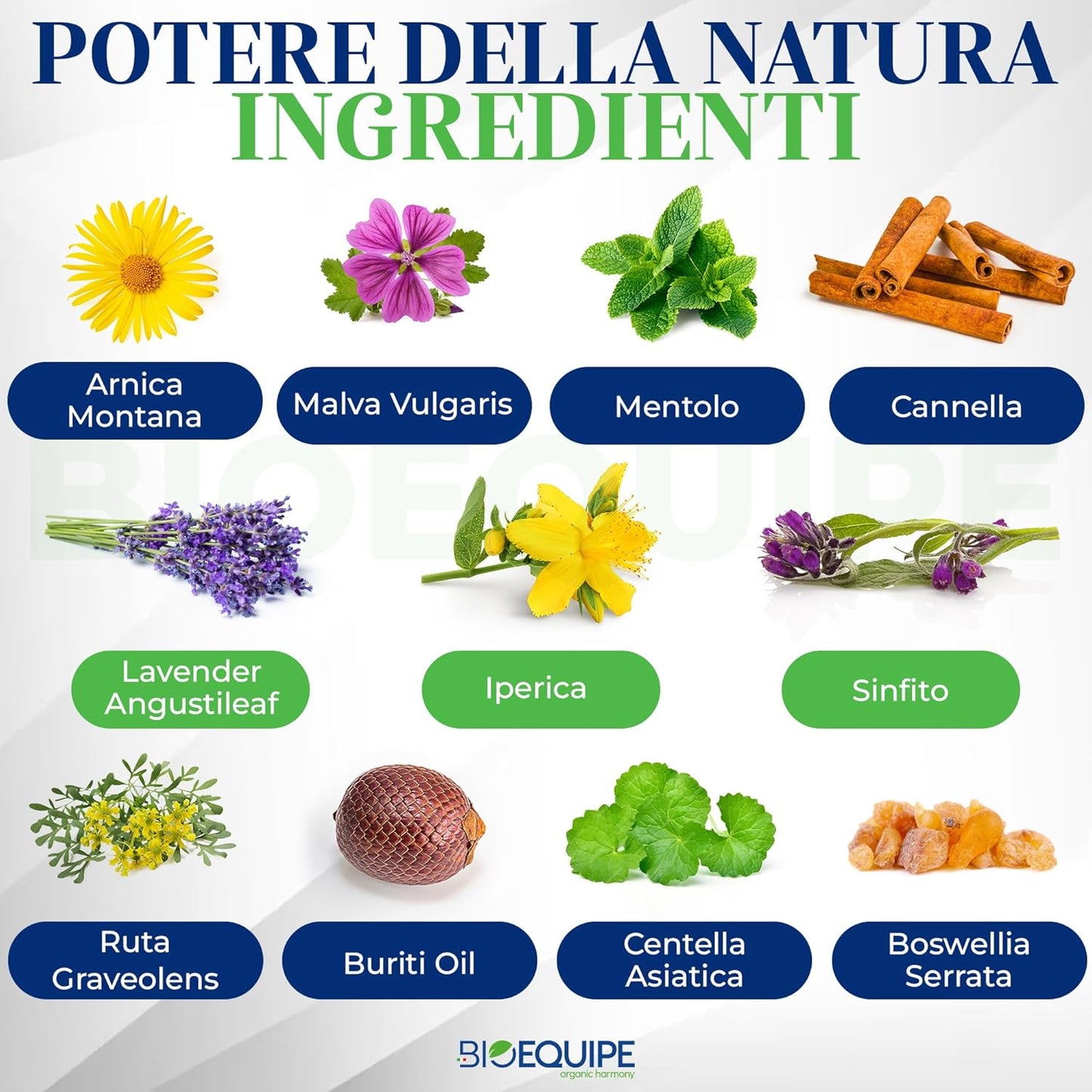 tusyl gel arnica cavalli 600ml