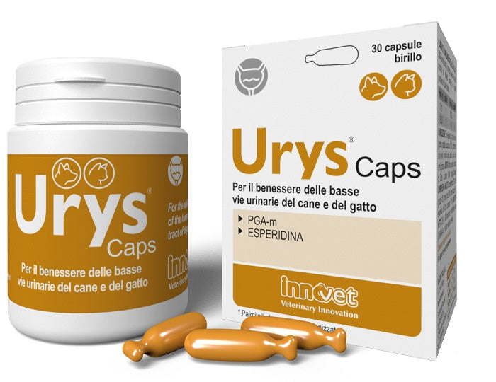 Urys Caps 30cps